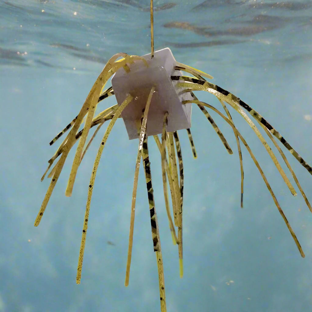 Bass Blob